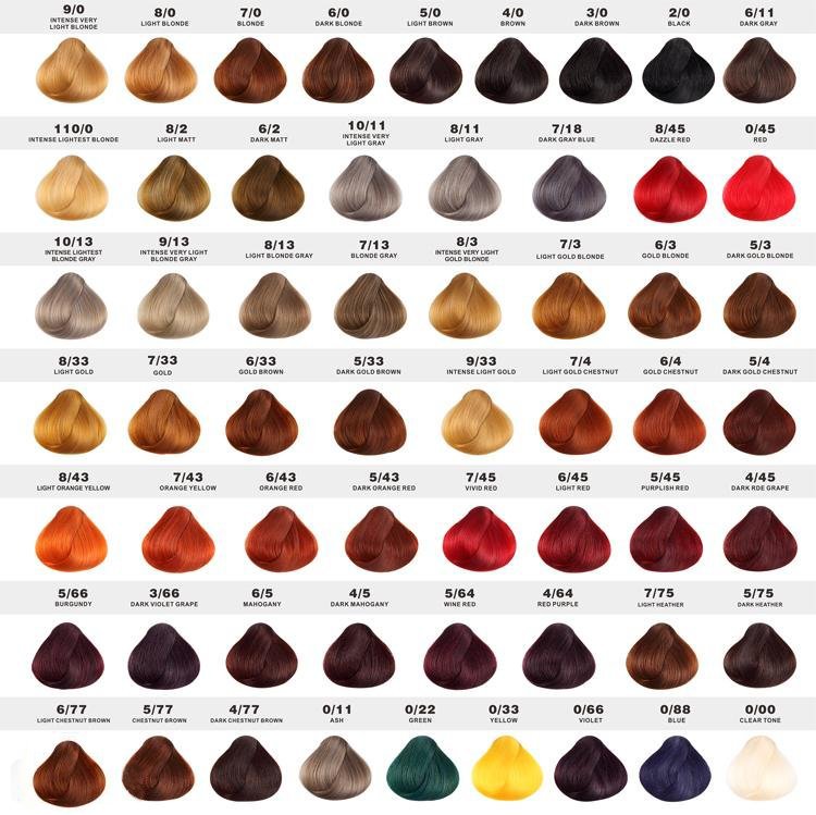 Bảng màu tóc nhuộm đầy đủ nhất đến từ nhà L’oreal