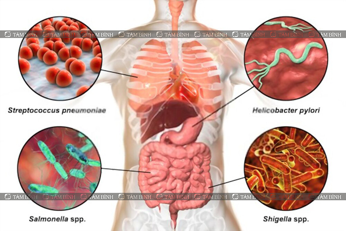 công dụng của nano curcumin